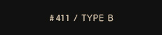 # 411 / type B
