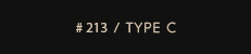 # 213 / type C