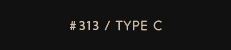 # 313 / type C
