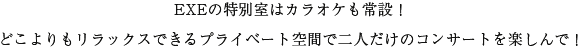 EXEの特別室はカラオケも常設！どこよりもリラックスできるプライベート空間で二人だけのコンサートを楽しんで！